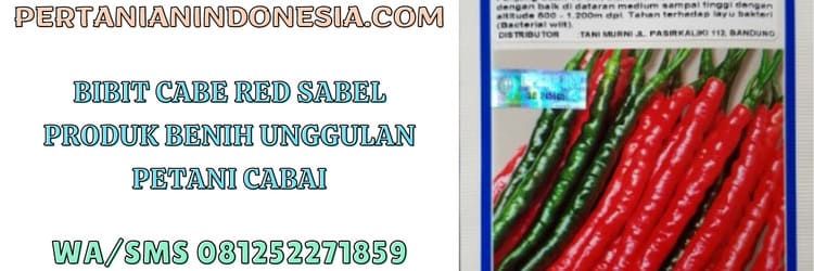bibit,cabe,red sabel,red sabel f1,takii seed